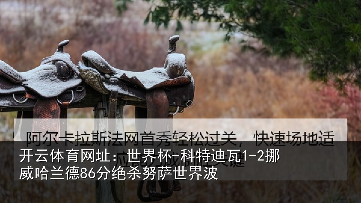 开云体育网址：世界杯-科特迪瓦1-2挪威哈兰德86分绝杀努萨世界波