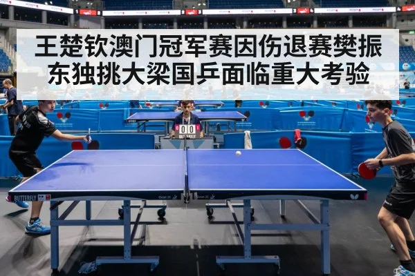 王楚钦澳门冠军赛因伤退赛樊振东独挑大梁国乒面临重大考验